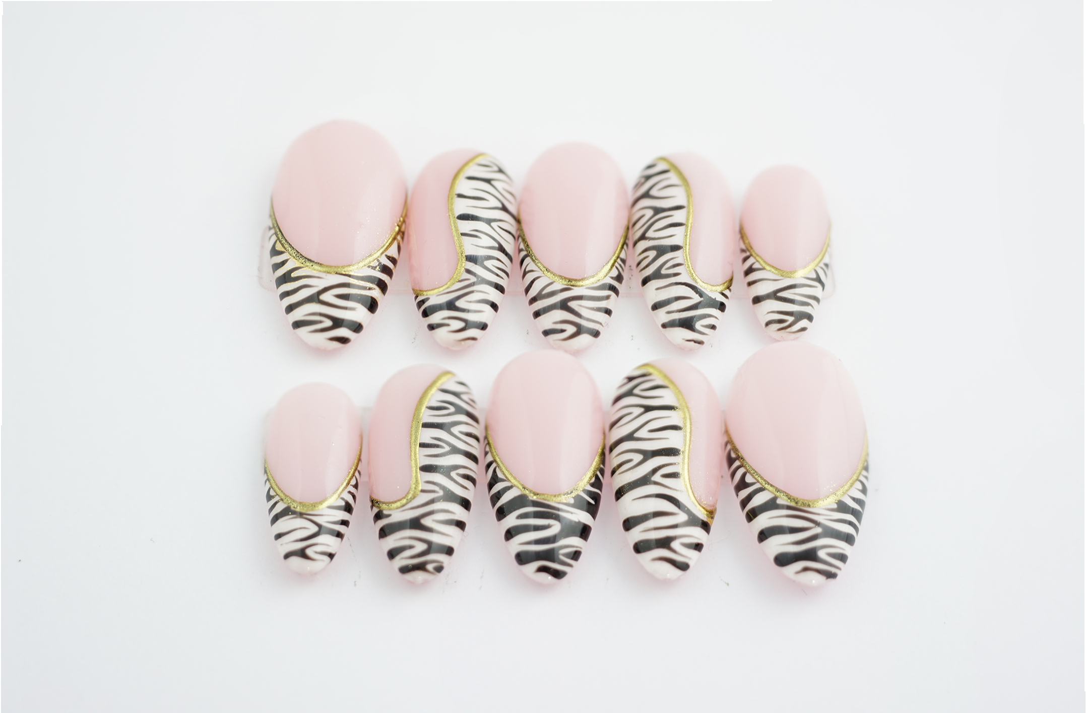 Zebra1