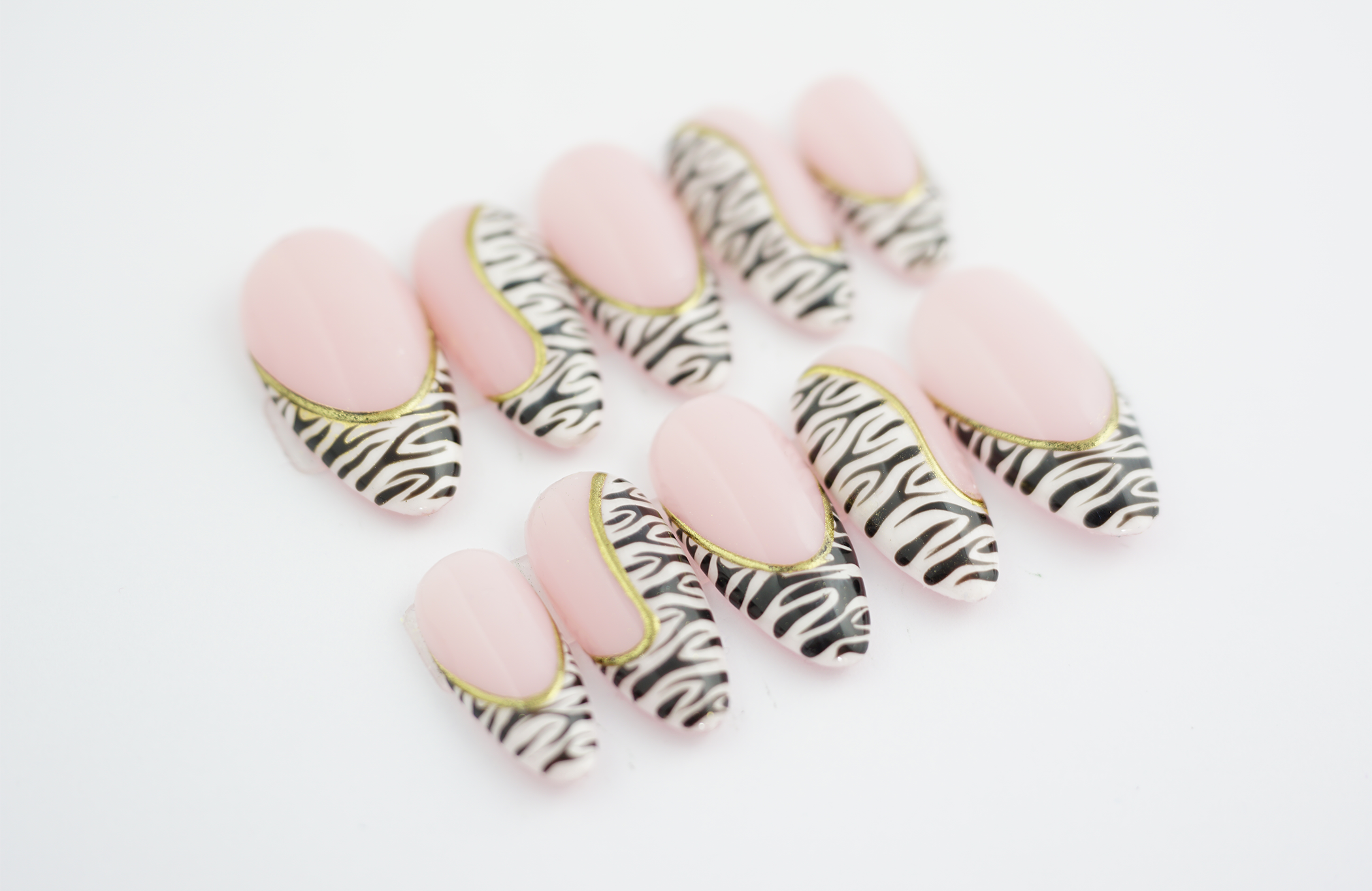 Zebra2