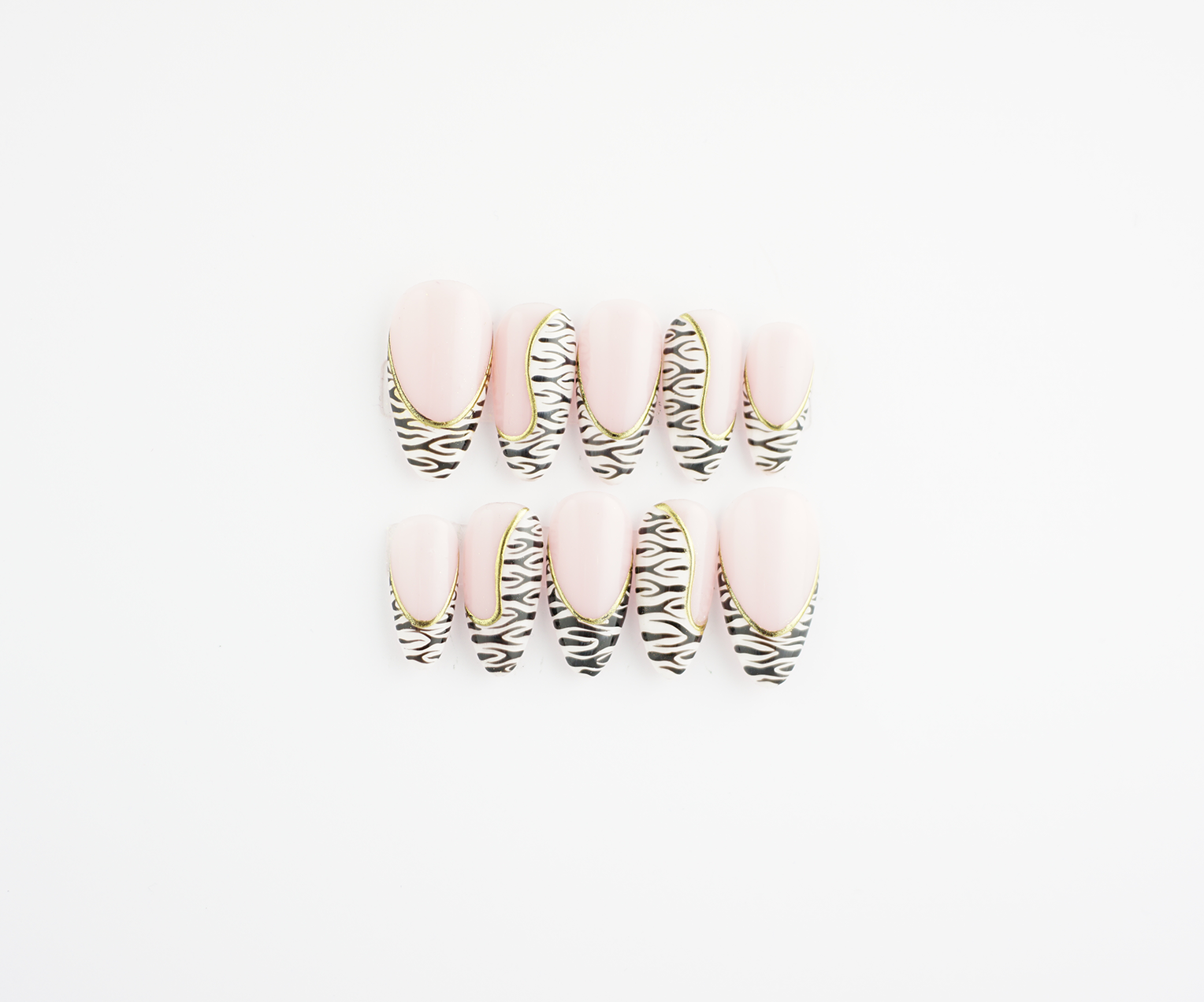 Zebra4